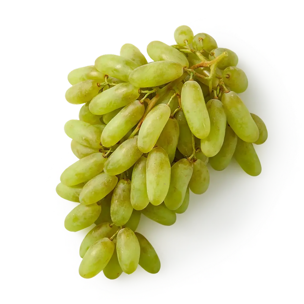      Uzum Everyday Fresh Ayol barmog‘i