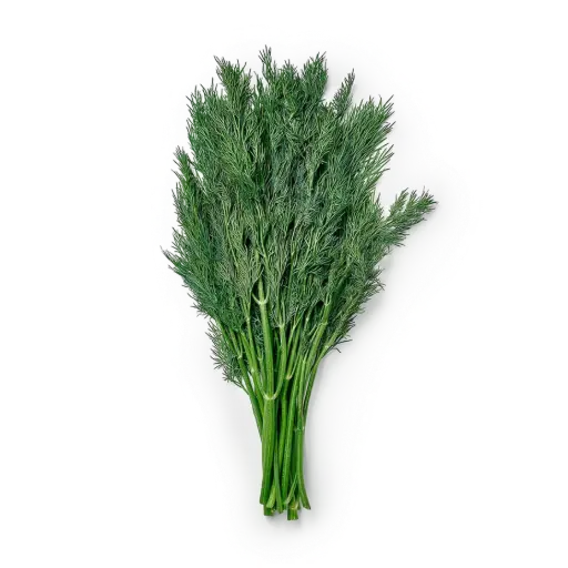      Shivit yangi koʻkati